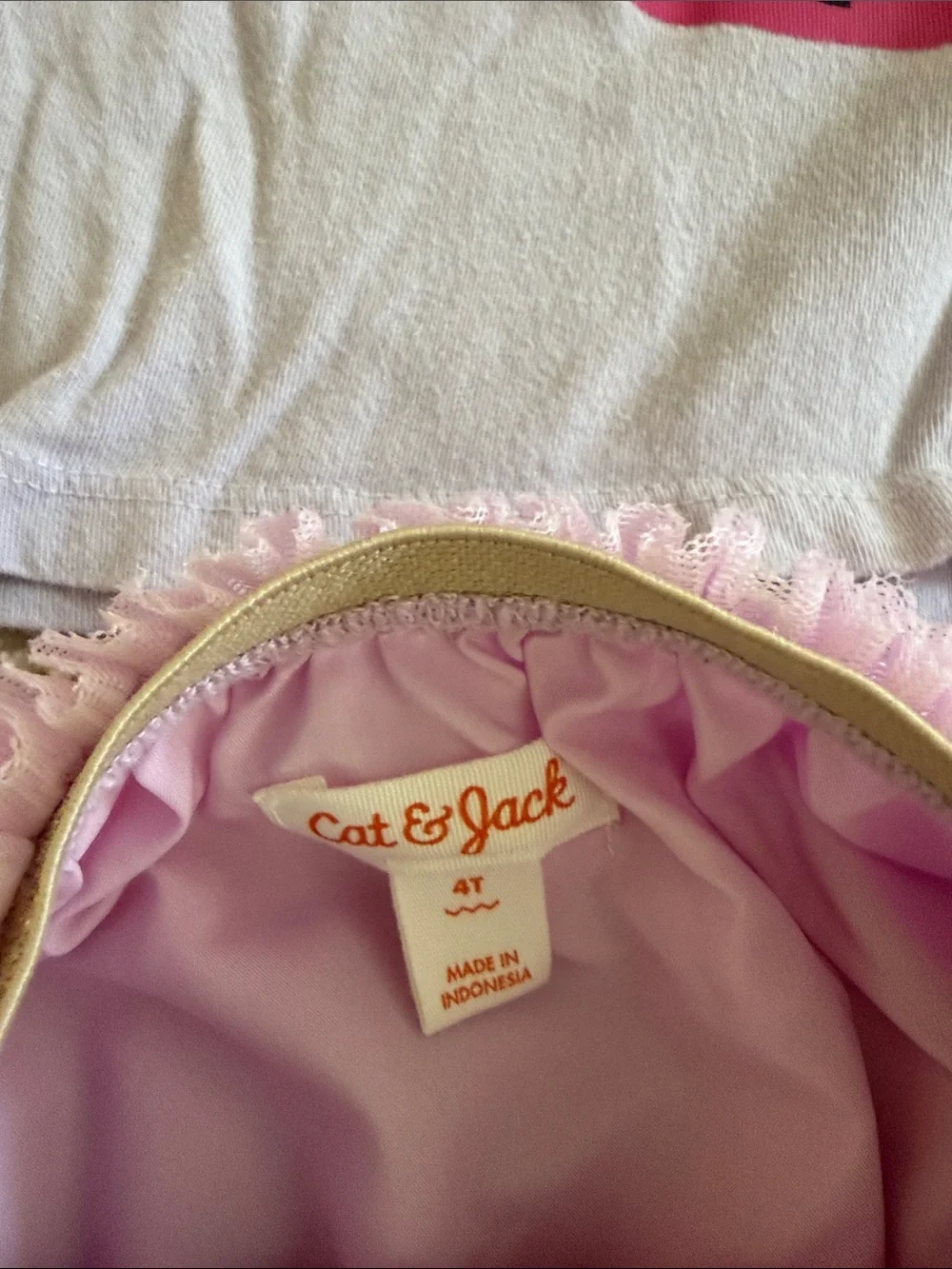 GAP Pink Strawberry Tee and Light Pink Tulle Skirt Set